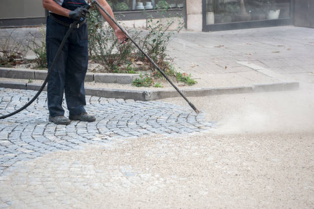 Best Roof Washing  in Moss Beach, CA